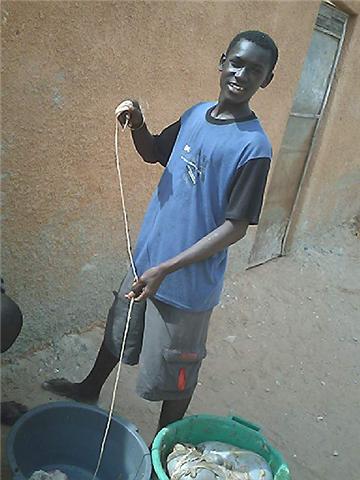 boga